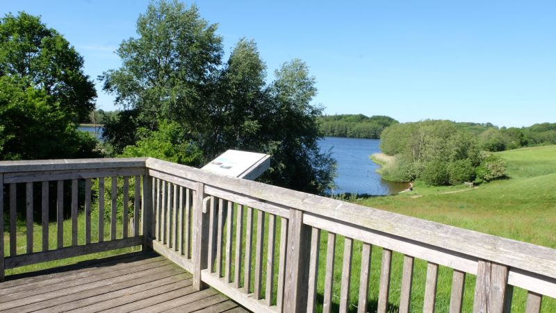 Sankelmarker See Seen In Schleswig Holstein Weites Land