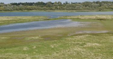 Katinger Watt, Leica SL 2.0 75mm