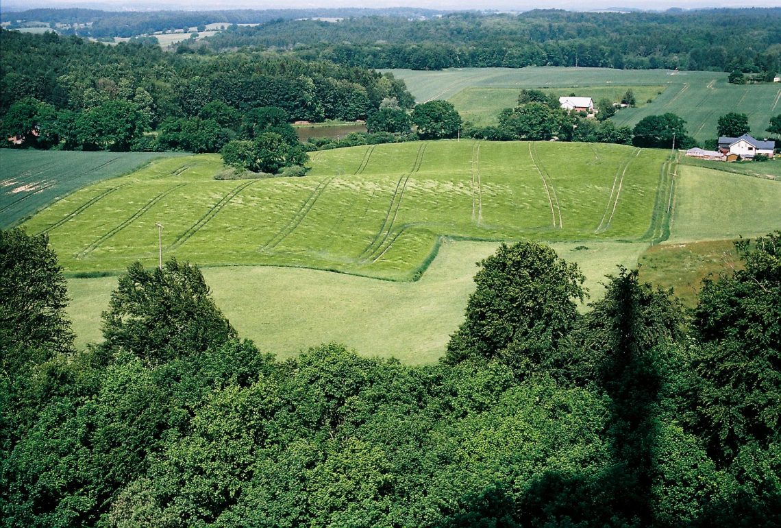 Bungsberg | © weites.land