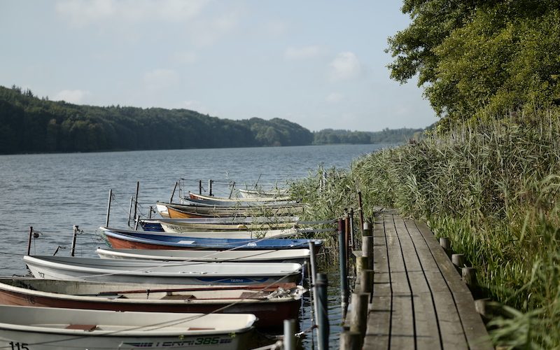 Langsee Schleswig, Seen in Schleswig-Holstein