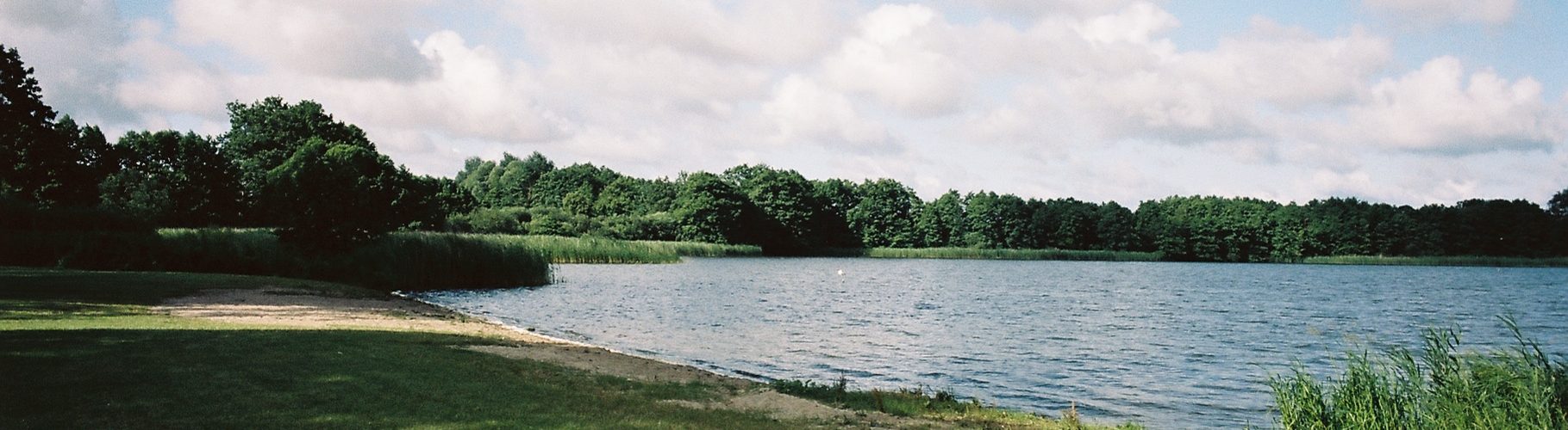 Seekamper See – Seen in Schleswig-Holstein, aufgenommen mit Leica M Summilux 1.4/50mm asph. new auf Kodak Portra 160| © weites.land