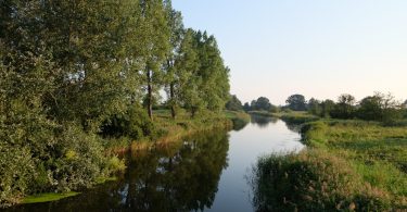 Füsinger Au, Loiter Au