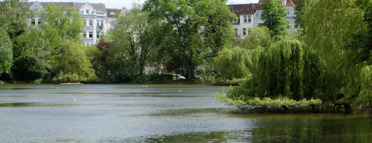 Am Schreventeich im Schrevenpark Kiel – Seen in Schleswig-Holstein | © weites.land