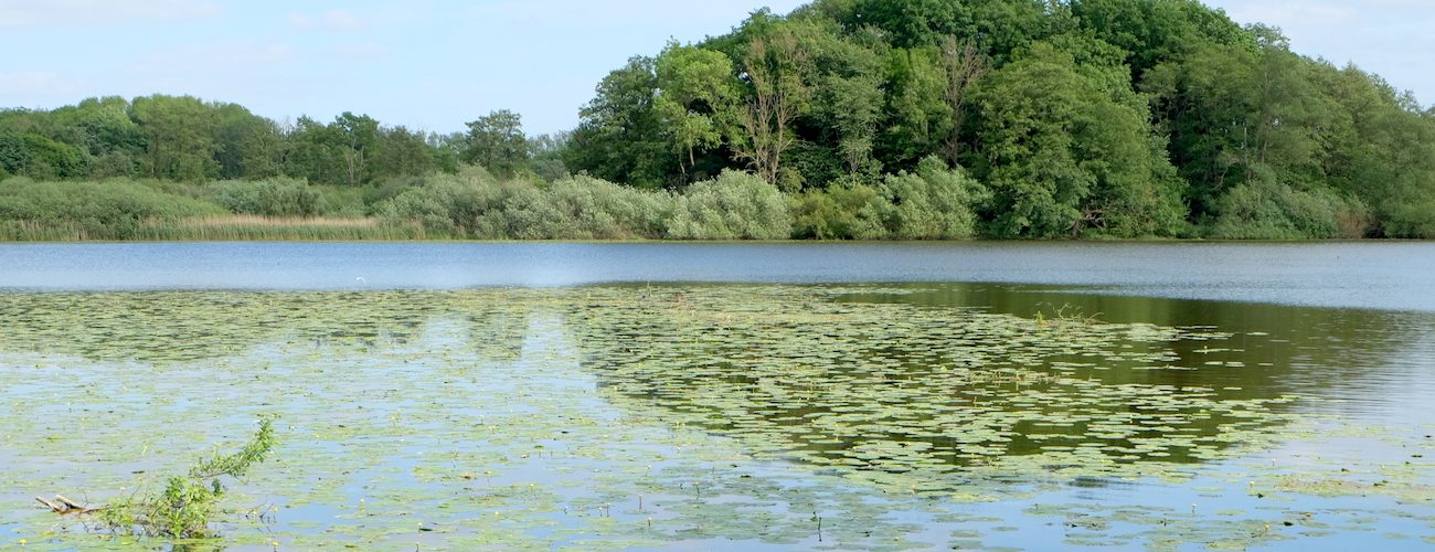 Schulensee – Seen in Schleswig-Holstein | © weites.land