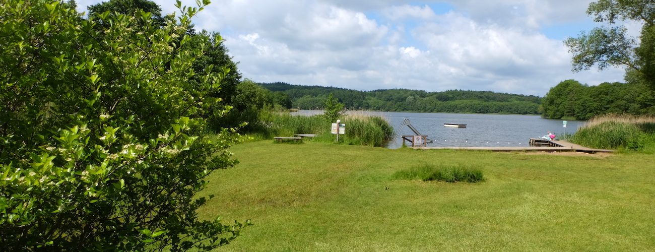Schierensee (Kreis Rendsburg-Eckernförde) – Seen in Schleswig-Holstein | @ weites.land