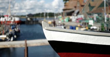 Maasholm im Amt Geltinger Bucht – Gemeinden in Schleswig-Holstein