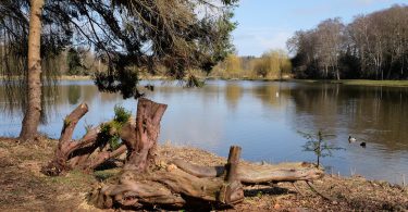 Schwartauer See im Kurpark Bad Schwartau | © weites.land