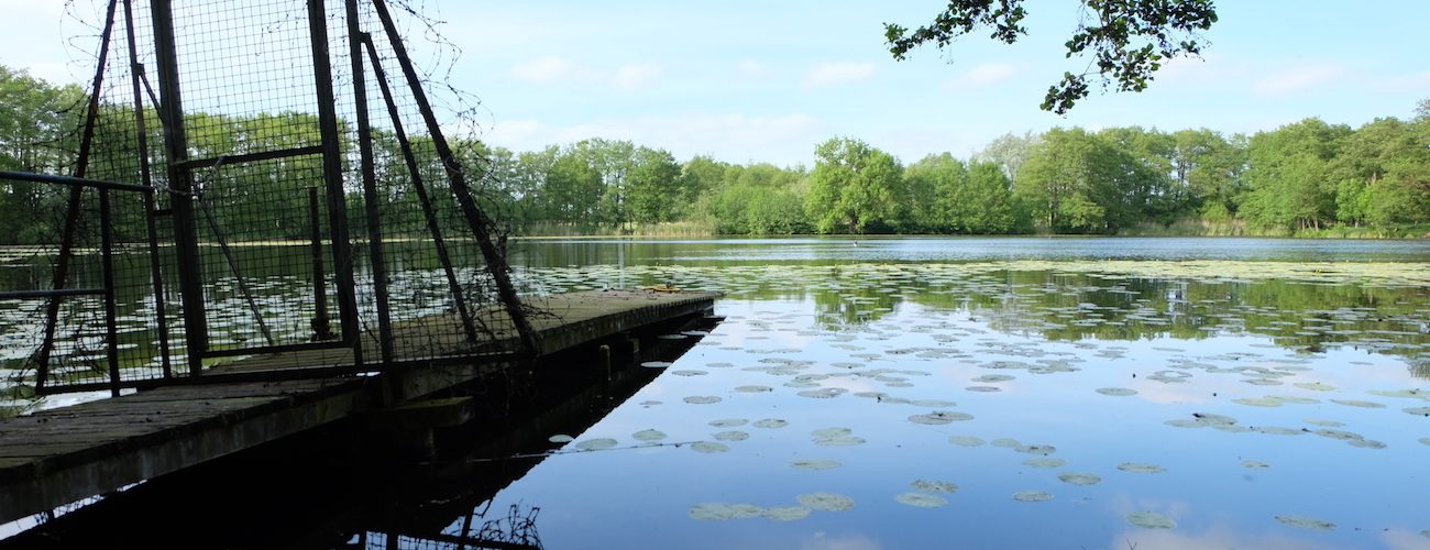 Rammsee (Gemeinde Molfsee) - Seen in Schleswig-Holstein | © weites.land