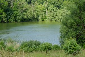 Wennsee – Seen in Schleswig-Holstein | © weites.land
