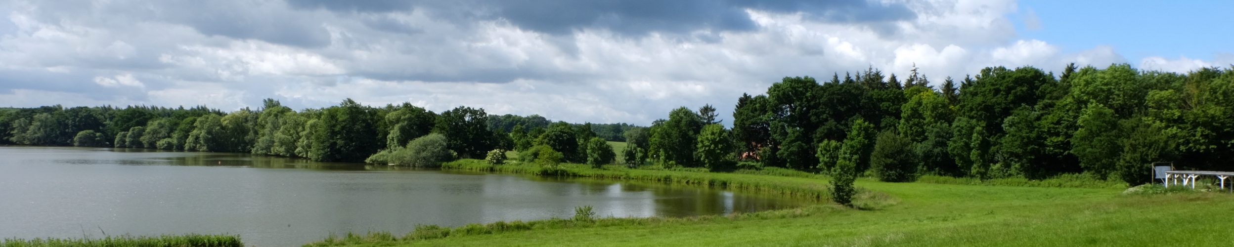 Flörkendorfer Teich – Seen in Schleswig-Holstein | © weites.land
