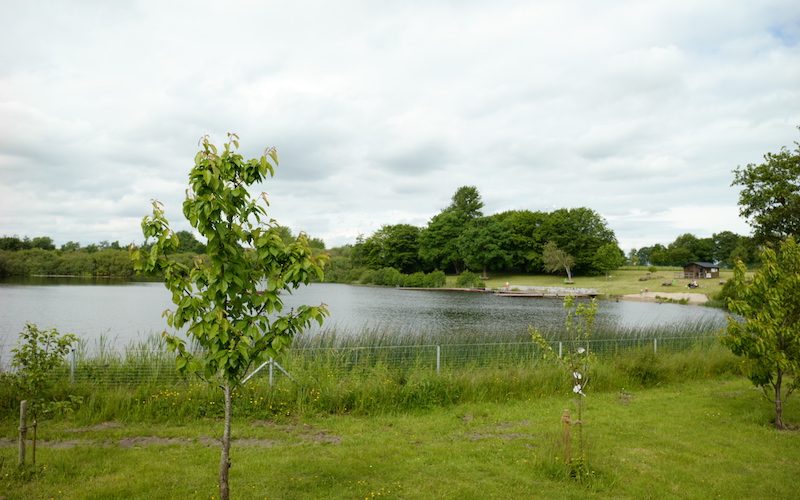 Hollmarksee, Holmarksee, Freienwill, Seen in Schleswig-Holstein