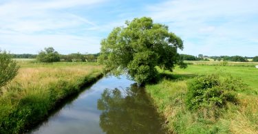 Haberniser Au und Habernisser Moor | © weites.land