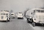Die weißen Busse, Graf Bernadotte