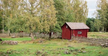 Stensjö By - Kodak Portra 160-Leica Summilux 1.4 50 asph. | © mare.photo