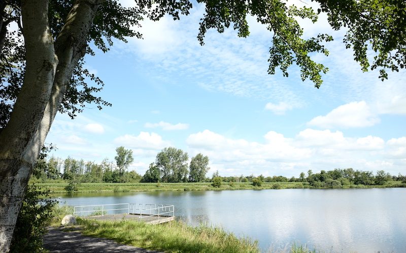 Dörpumer Mergelkuhlen, Seen in Schleswig-Holstein, Leica M Elmarit 2.8 28 asph.