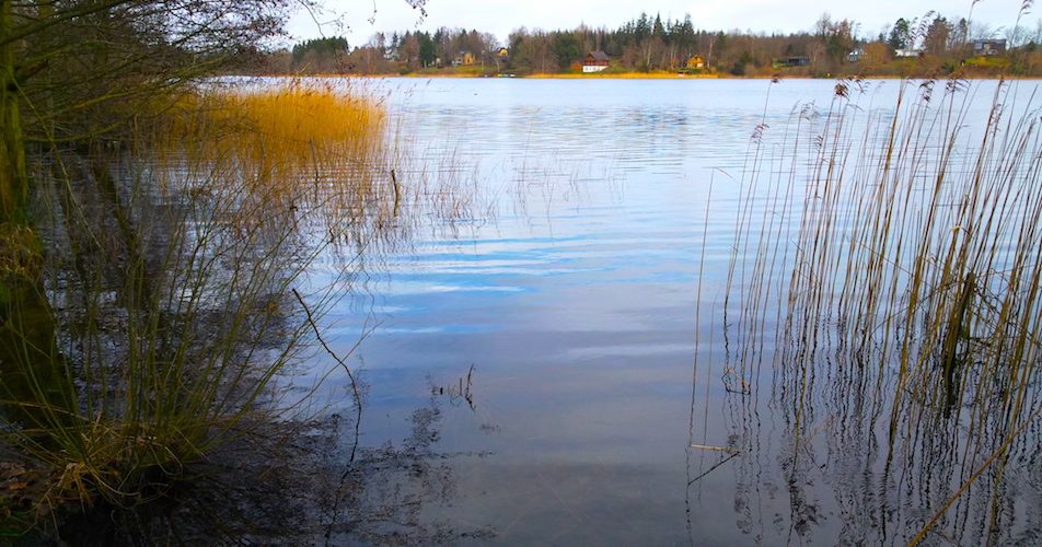 Langsee Kosel – Seen in Schleswig-Holstein | © weites.land
