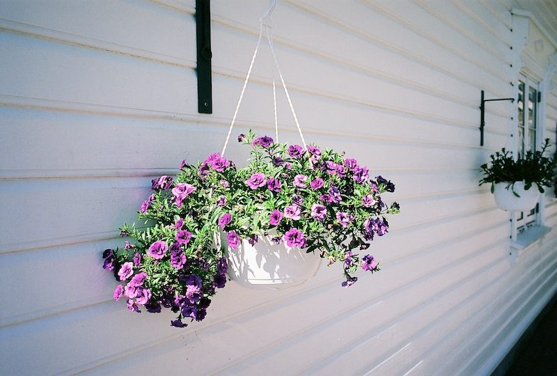 Mandal, Kodak Ektar, Leica M Elmarit 2.8 28 asph