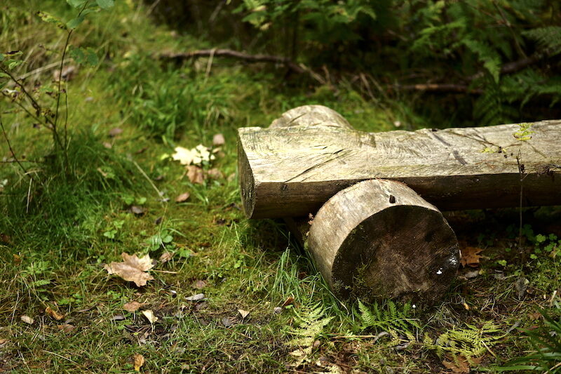 Wald ist gesund, Småland, Ryfors, Stråken, Mullsjø, Leica SL 75mm