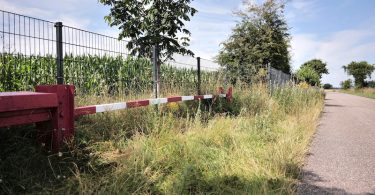 Grenzübergang Ellund-Mosevej, Grenzübergänge Deutschland-Dänemark