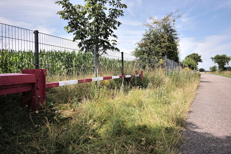 Grenzübergang Ellund-Mosevej, Grenzübergänge Deutschland-Dänemark