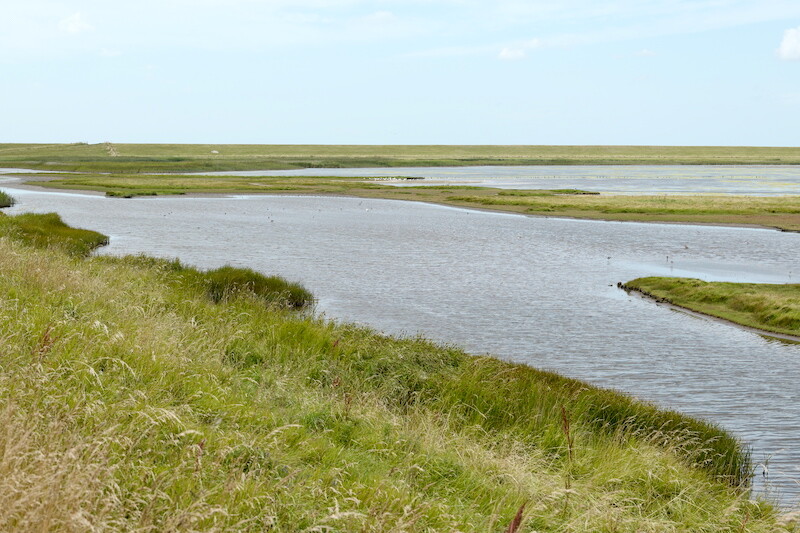 Rickelsbüller Koog, Margarethe Kog, Norddeich-Sieltoft