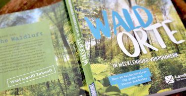 Waldorte in Mecklenburg Vorpommern