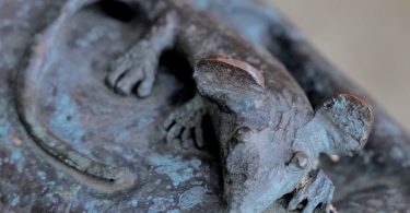 Auf der Regenrinne hockt die arme Kirchenmaus in St. Nikolai Flensburg