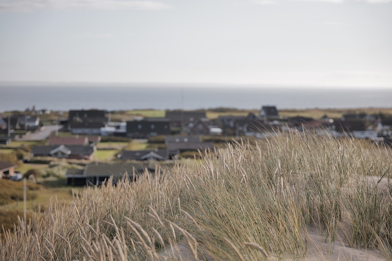Ringkøbing Fjord, Aargab