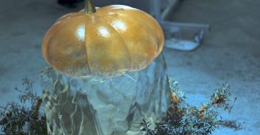 Iskunsten Thyborøn Limfjord