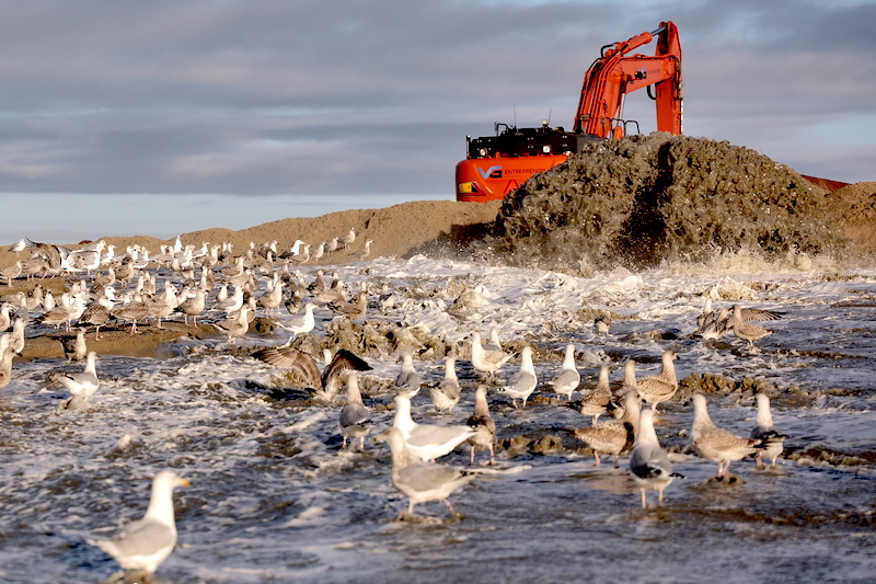 Sandvorspülung Dänemark Nordsee