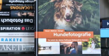 Hundefotografie, Rheinwerk