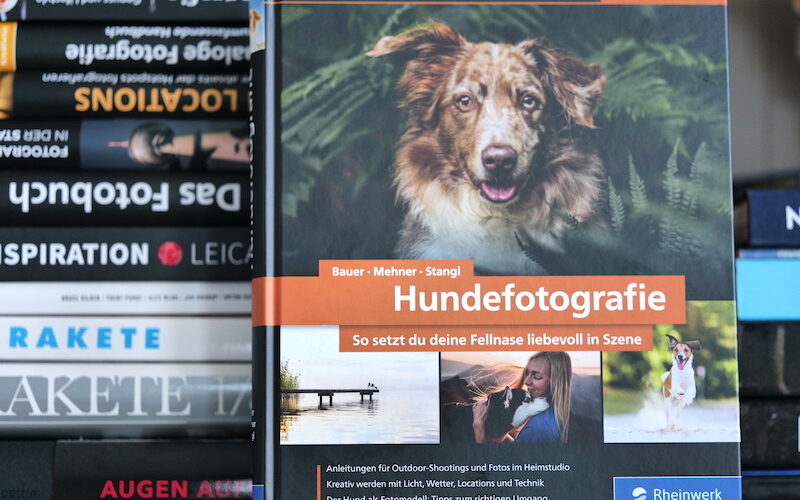 Hundefotografie, Rheinwerk