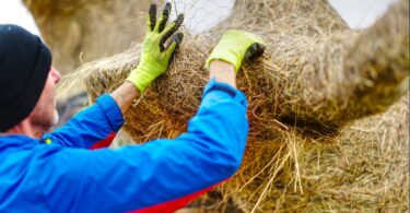 Hay Art by Art Jam Højer / Hoyer. Leica APO SL 2.0/75mm ASPH.
