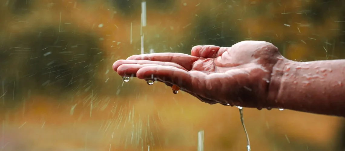 Wetterfest